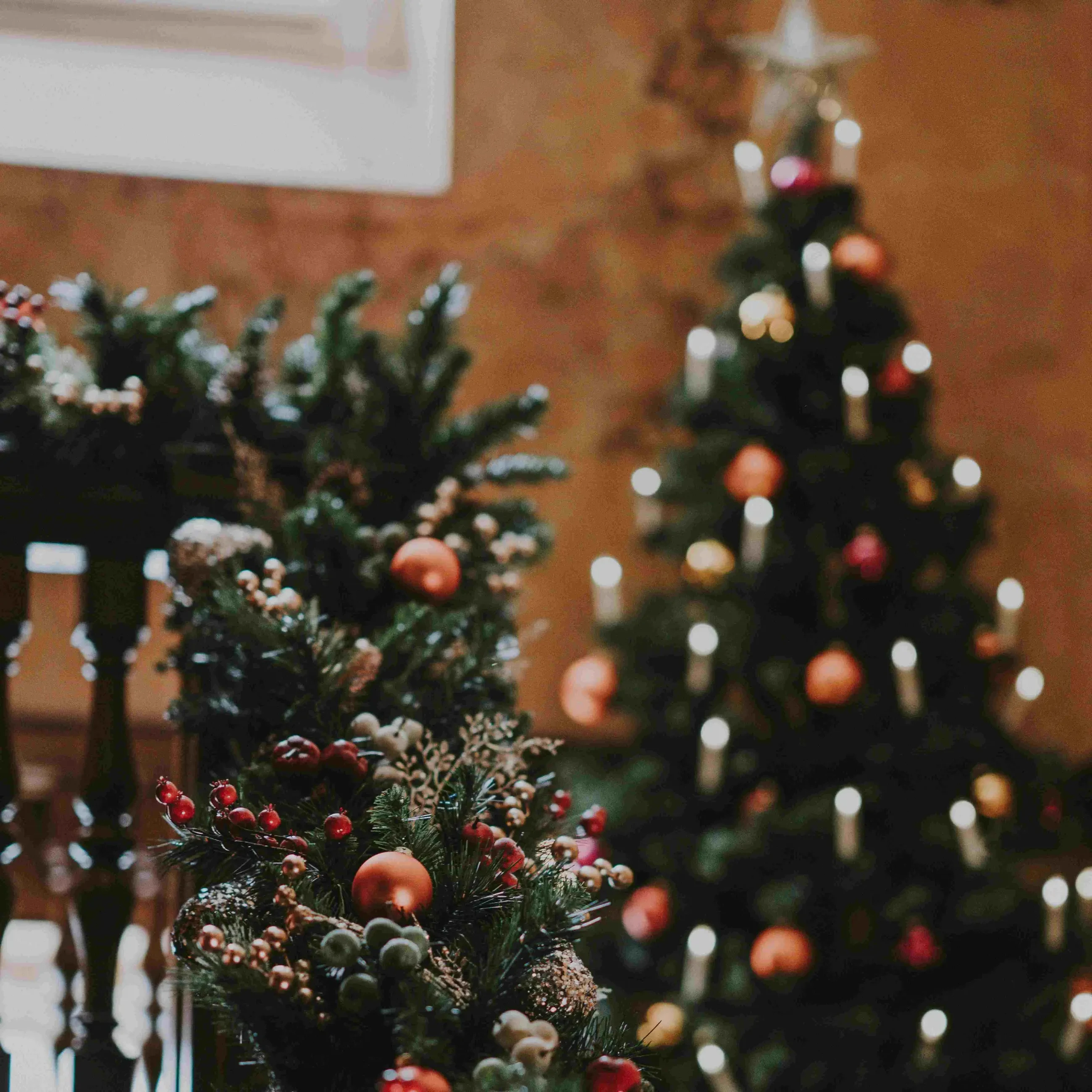 December Sample Sale