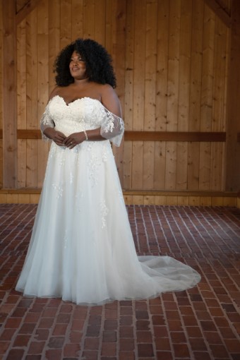 D3529 #7 (IV-BC) Ivory Lace Tulle and Regal Organza over Biscotti Gown thumbnail