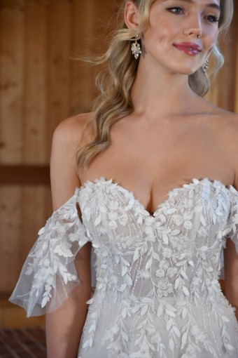 D3529 #6 (IV-BC) Ivory Lace Tulle and Regal Organza over Biscotti Gown thumbnail