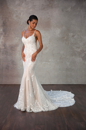 Desi #0 default (IVIV-PL) Ivory Lace & Tulle over Ivory Gown w Porcelain Tulle Illusion thumbnail